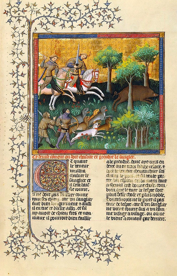 Illustration de Gaston Febus lors d'une chasse au sanglier